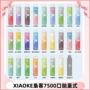 梟客XIAOKE|7500口可發光拋棄式電子煙 跑馬燈一次性